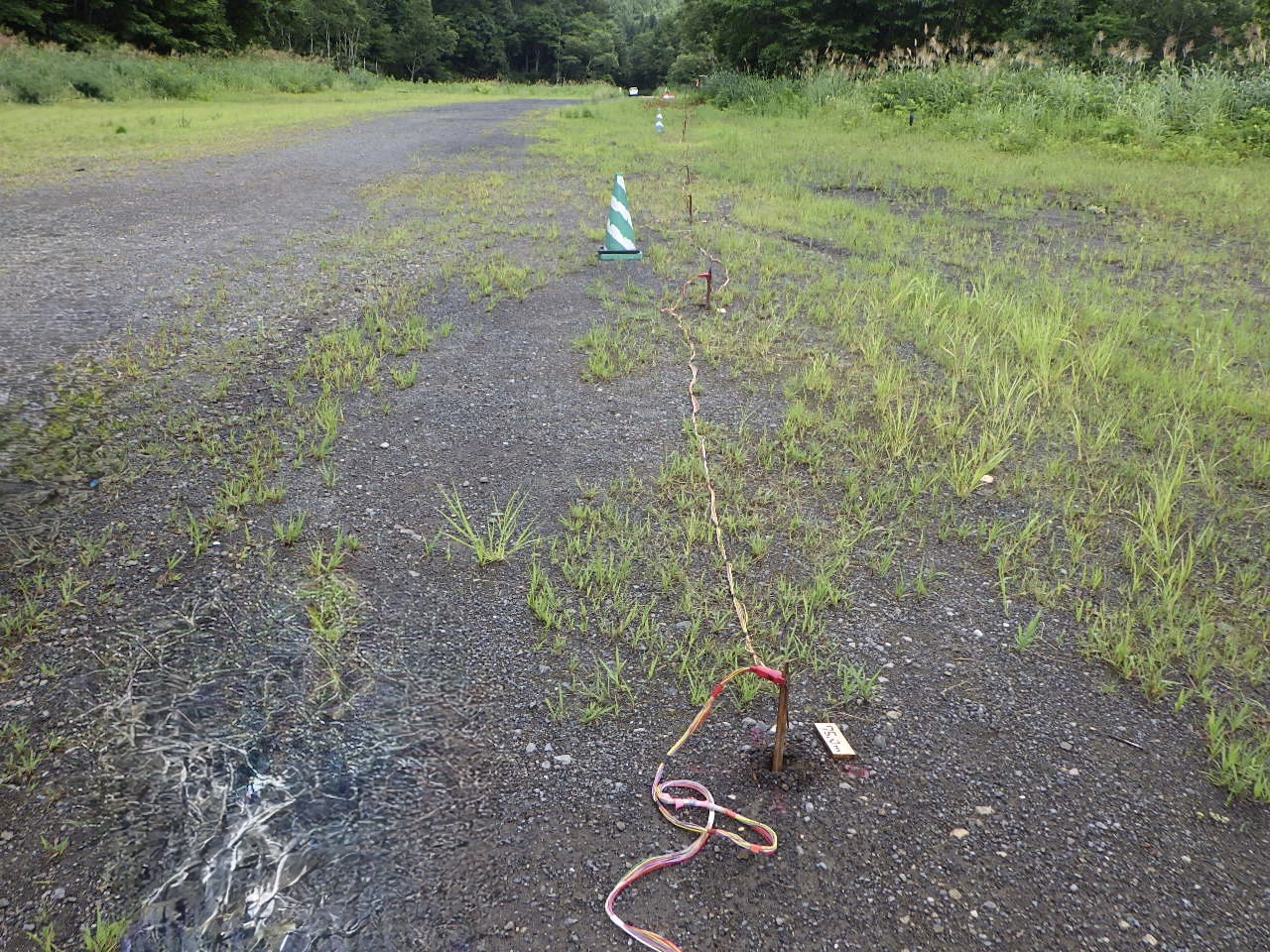 比抵抗二次元探査の画像